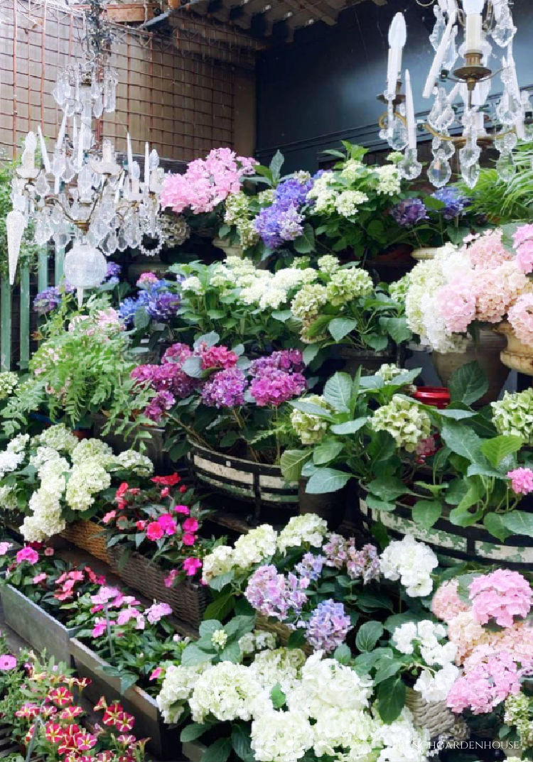 Visit Le Marché aux Fleurs Reine-Elizabeth-II