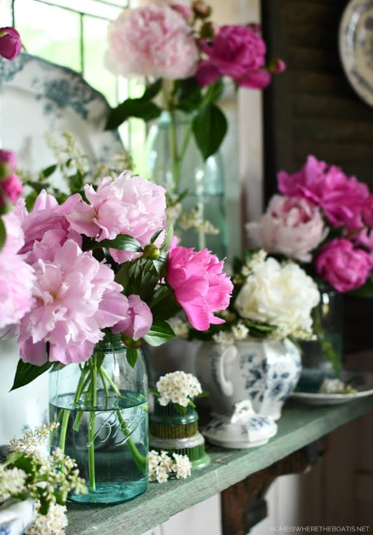 peonies for summer