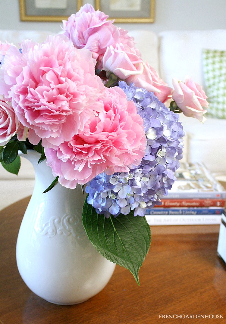 peony care tips