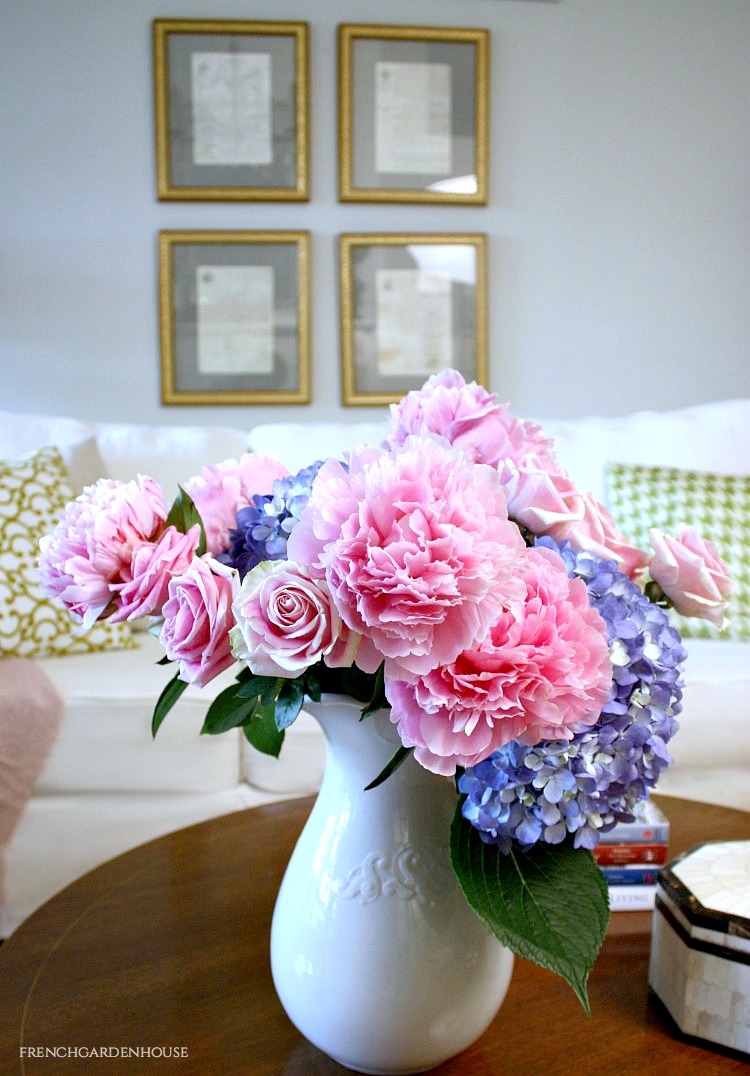 peony care tips