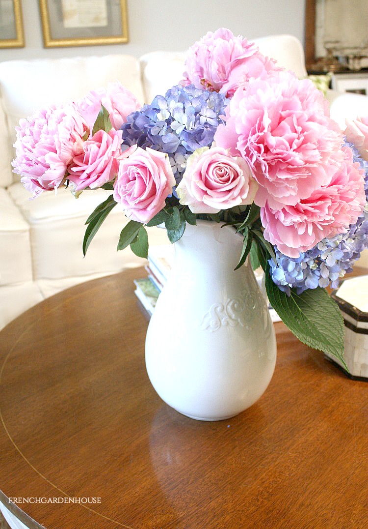 peony care tips