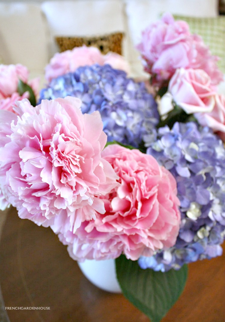 peony care tips