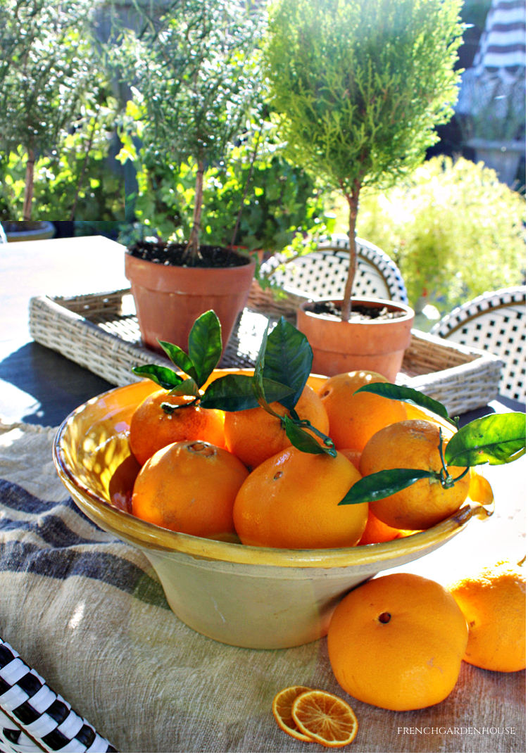 Provence Summer Orange Cake