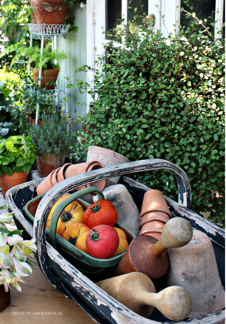 antique English gardening trug