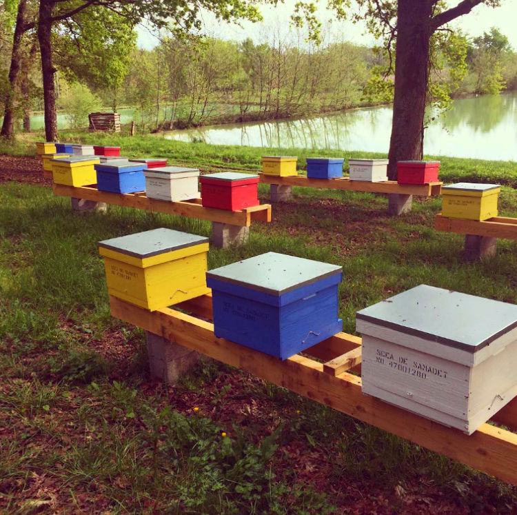 bee hives in france