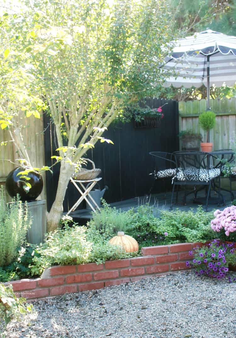 fall garden with a pumpkin