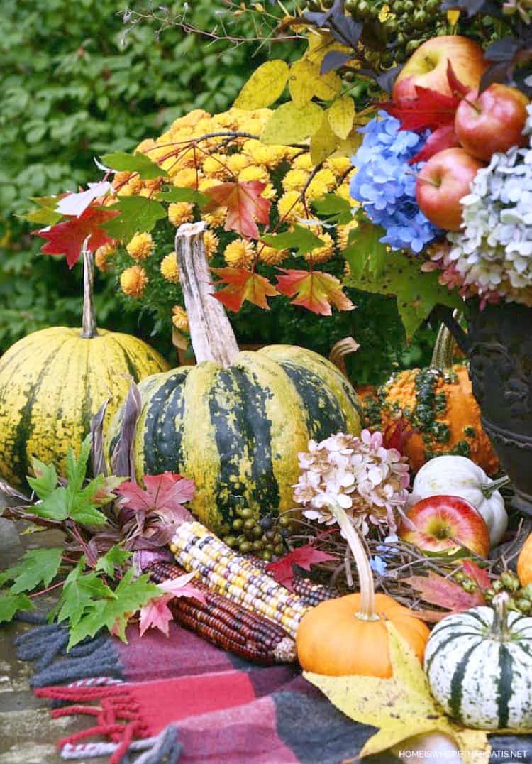 fall flowers and pumpkins