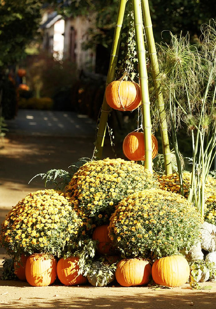 French pumpkins at Chaumont