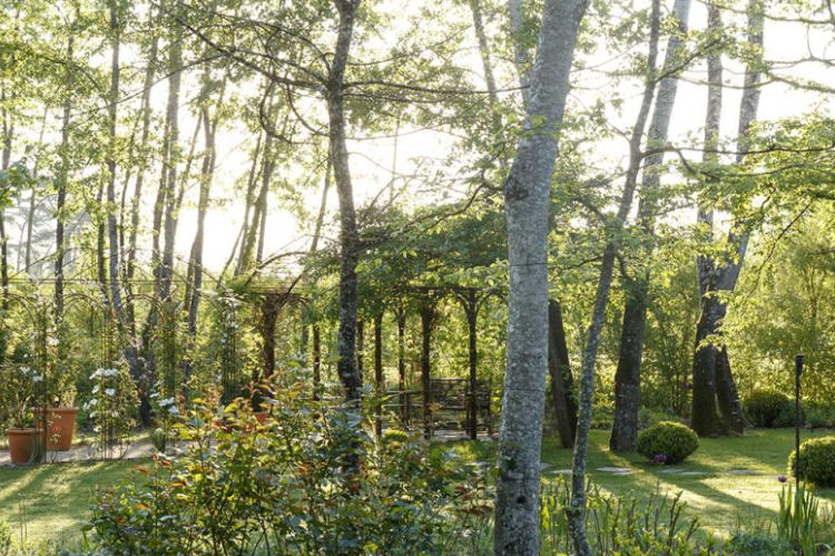 Wooded garden at French chateau