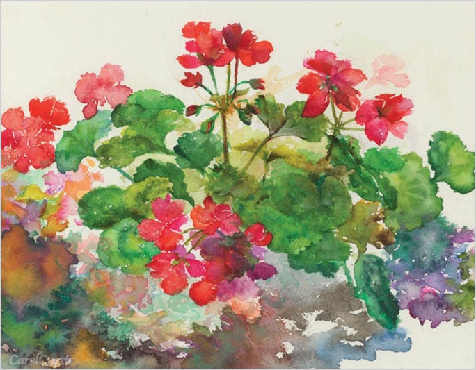 FrenchGeraniums