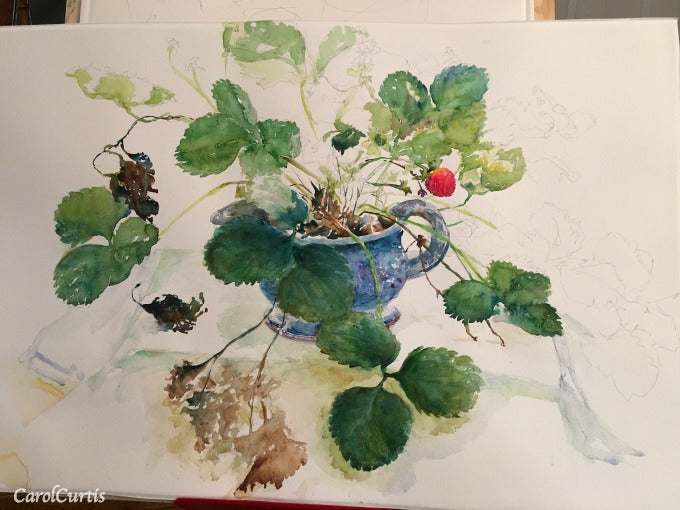 FrenchLinenwithStrawberryplant